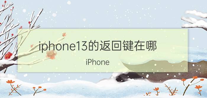 iphone13的返回键在哪 iPhone 13返回键在哪里